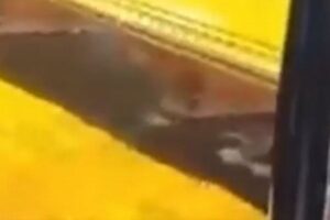 クリミア大橋の爆発直前に現れた「謎の波」に憶測が飛び交う