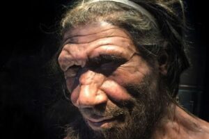 ネアンデルタール人は絶滅していない？ホモ・サピエンスと深い交流があった可能性