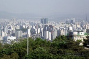 韓国で腐敗した脱北者の遺体を発見、1年以上も前に死亡か？