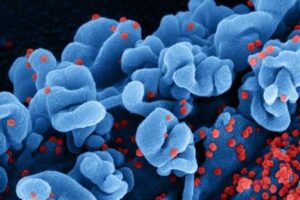 米科学者が新型コロナのハイブリッド変異株を、研究所で人工的に作製