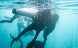 ダイビング中、意識を失った男性の前に人魚が出現、救出に成功【アメリカ】