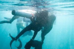 ダイビング中、意識を失った男性の前に人魚が出現、救出に成功【アメリカ】
