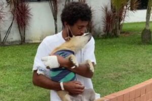 入院していたホームレスと、飼い主を待っていた愛犬が再会、心温まる動画