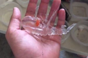 新種？ プランクトン？ 手のひらでうごめく透明な生物の正体とは