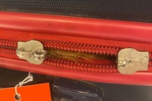 ネコがキャリーバッグに忍び込み、旅行を計画？手荷物検査で発覚