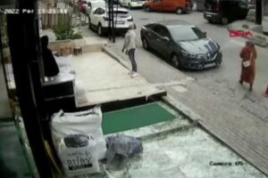 ナイスキャッチ！建物から転落したニャンコを男性が下で無事に確保