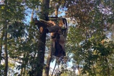 シカのハンターが木から落ちかけ、1時間以上も逆さまにぶら下がってしまう