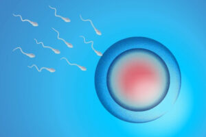 全世界の精子数が減少中：大学調査