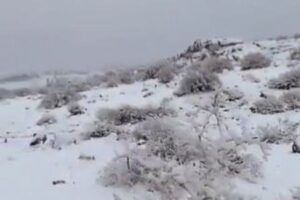 クウェートが珍しく雹の嵐に見舞われ、積雪も観測