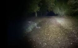 イギリスで散歩をしていた女性が、奇妙な白い影を目撃【動画】