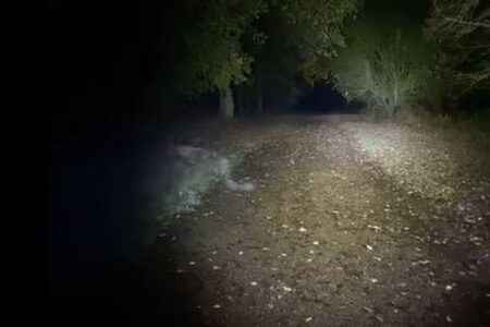 イギリスで散歩をしていた女性が、奇妙な白い影を目撃【動画】