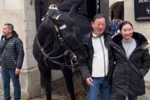 「ちょっと近寄りすぎ！」英近衛騎兵の馬が観光客の腕をガブッ