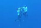 フリーダイバーが世界記録に挑戦中、海の中で意識喪失、仲間が救助【動画】