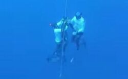 フリーダイバーが世界記録に挑戦中、海の中で意識喪失、仲間が救助【動画】