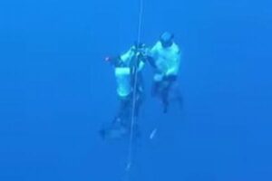 フリーダイバーが世界記録に挑戦中、海の中で意識喪失、仲間が救助【動画】