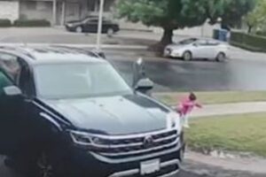 コヨーテが幼児を襲撃、父親の前で子供を連れ去ろうとする【アメリカ】