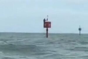 海で行方不明になった漁師、ブイにしがみついている姿を発見【ブラジル】