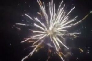 オーストラリアで花火が観客に降り注ぐ、子供たち数人が負傷【動画】