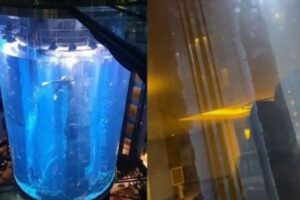 ベルリンのホテルにある巨大な水槽が破裂、多くの魚が死ぬ
