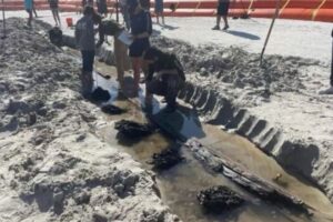 19世紀の難破船か？ハリケーンにより、ミステリアスな残骸が浜辺に姿を現す