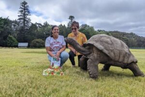 世界最高齢のリクガメが190歳の誕生日、生まれたのは1800年代