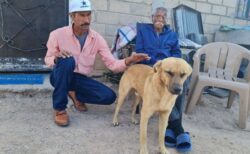 行方不明だった飼い主を犬が発見、捜索隊を導く【メキシコ】