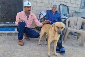 行方不明だった飼い主を犬が発見、捜索隊を導く【メキシコ】