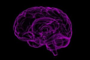 米大学の研究者らが、アルツハイマー病を早期に発見する検査法を開発