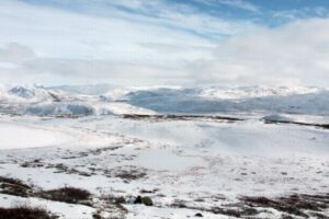 グリーンランドで科学者が、200万年前の最古のDNAを発見