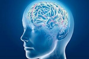 アルツハイマー病を診断する安価な血液検査を開発、早期診断に期待