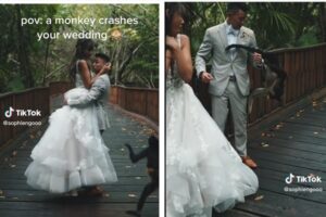 【動画】略奪成功？新郎が侵入者に奪われる瞬間が撮影される