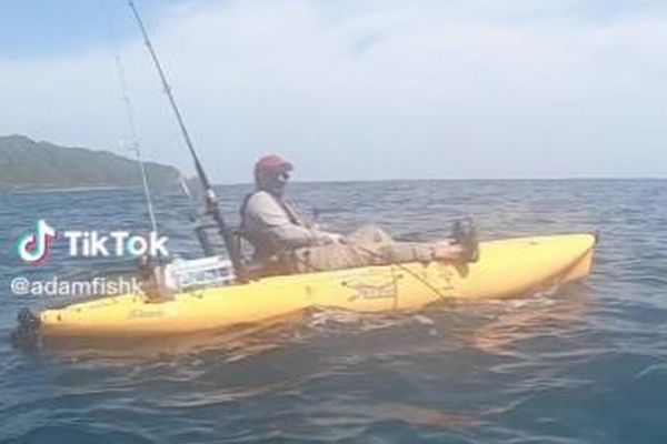 カヤックに乗った男性、サメに3キロも引っ張られてしまう【動画】