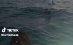 海で行方不明になった若者を家族が船で発見、その瞬間の動画が話題に