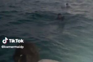 海で行方不明になった若者を家族が船で発見、その瞬間の動画が話題に