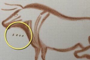 氷河期に描かれた壁画の謎、イギリスの家具修復師が解き明かす