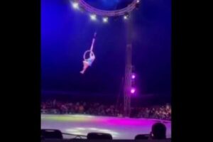 サーカスの曲芸師、空中でのパフォーマンスで落下、そのまま動かず