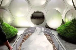 ニューヨーク州が遺体の堆肥化を承認、腐敗させてコンポストに