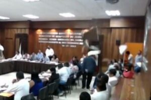 市議会の天井からアライグマが落ちてきた！議員らもびっくり【メキシコ】