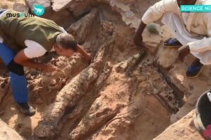 古代エジプトの墓に、10体のワニのミイラが埋葬されていた