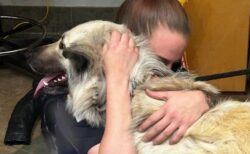泣く泣く愛犬を手放したホームレスの女性、保護施設の呼びかけで感動の再会
