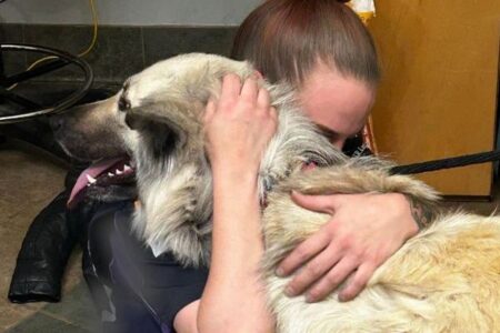 泣く泣く愛犬を手放したホームレスの女性、保護施設の呼びかけで感動の再会