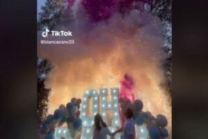 ド派手過ぎる性別発表パーティー、森林火災の原因になるとして批判を浴びる