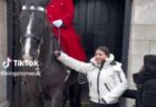 近衛兵の馬と記念撮影していた女性、怒鳴られても手綱に触れる
