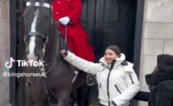 近衛兵の馬と記念撮影していた女性、怒鳴られても手綱に触れる