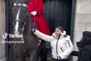 近衛兵の馬と記念撮影していた女性、怒鳴られても手綱に触れる