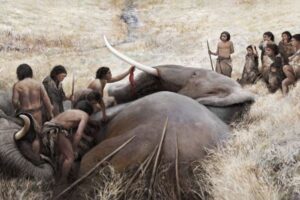 ネアンデルタール人が巨大なゾウを狩猟、より大規模な集団生活を営んでいた可能性