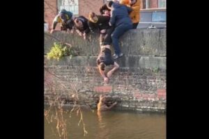 運河に落ちたワンコ、人々が力を合わせて救出に成功【イギリス】
