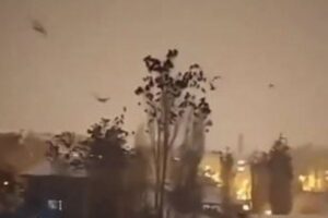 トルコ・シリア大地震の予兆を鳥たちが感知か？夜空を無数に飛び交う【動画】