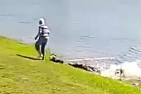 池からワニがそっと近づき、高齢者の女性と犬を急襲、公開された映像が恐ろしい