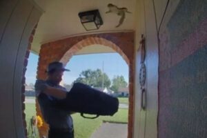 配達のピザを受け取っていたら、リスが家に侵入、住民はパニックに